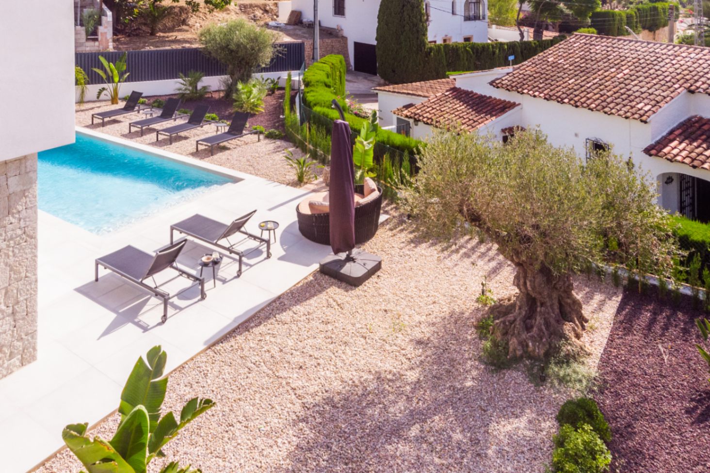 Luftaufnahme des Pools mit Liegestühlen und mediterranem Garten mit jahrhundertealtem Olivenbaum in Benissa.