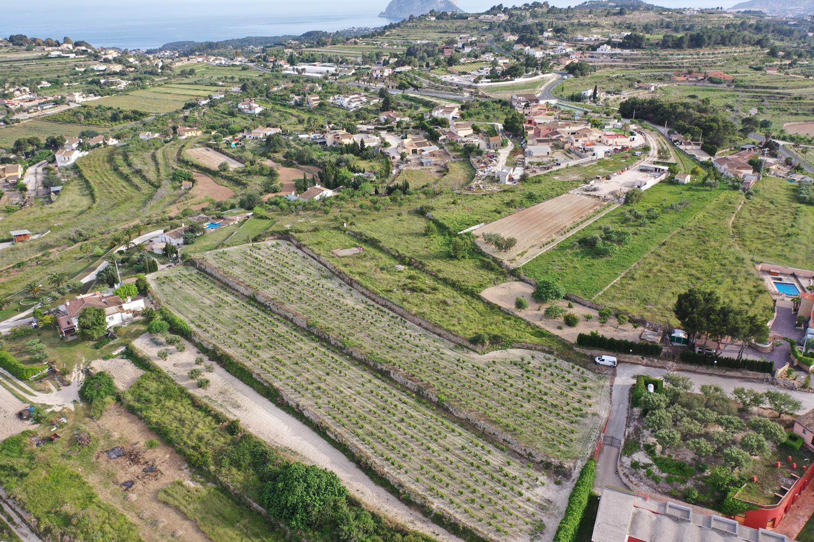 Luftaufnahme des weitläufigen Grundstücks mit terrassierten Muskateller-Weinbergen und Panoramablick auf das Mittelmeer und den Peñón de Ifach.