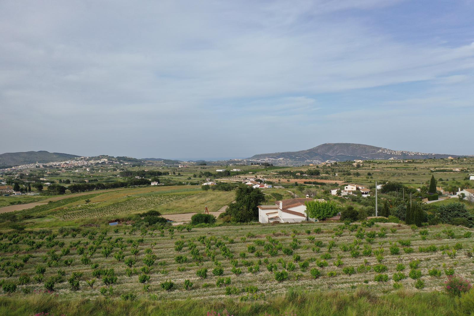 Panoramablick auf die Muskateller-Weinberge im Vordergrund, wobei sich die ländliche Landschaft und die Berge bis zum Meereshorizont erstrecken.