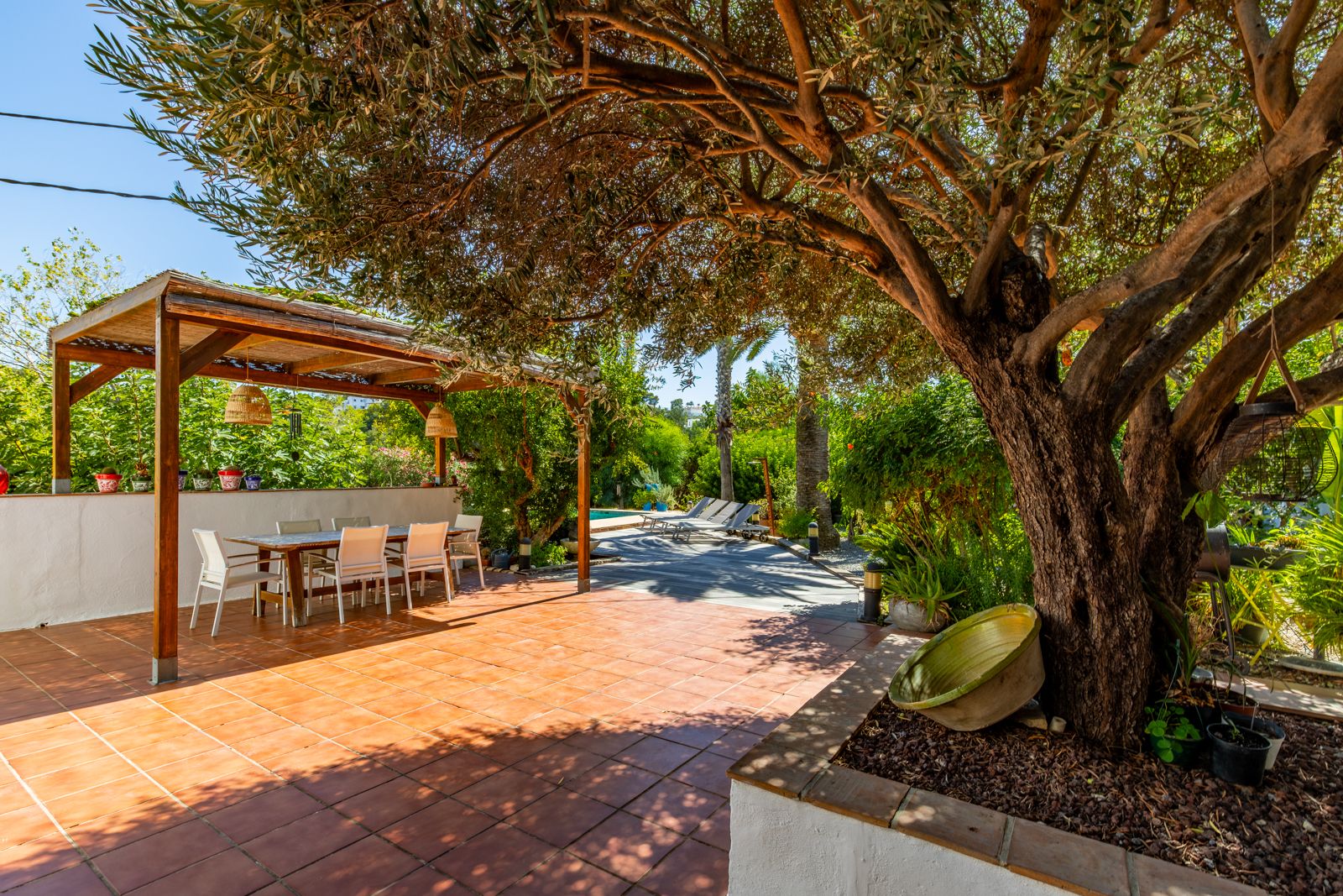 Außen-Terrasse mit Terrakotta-Fliesen, Essbereich unter einer Holzpergola und einem alten Olivenbaum, der natürlichen Schatten im mediterranen Garten spendet.