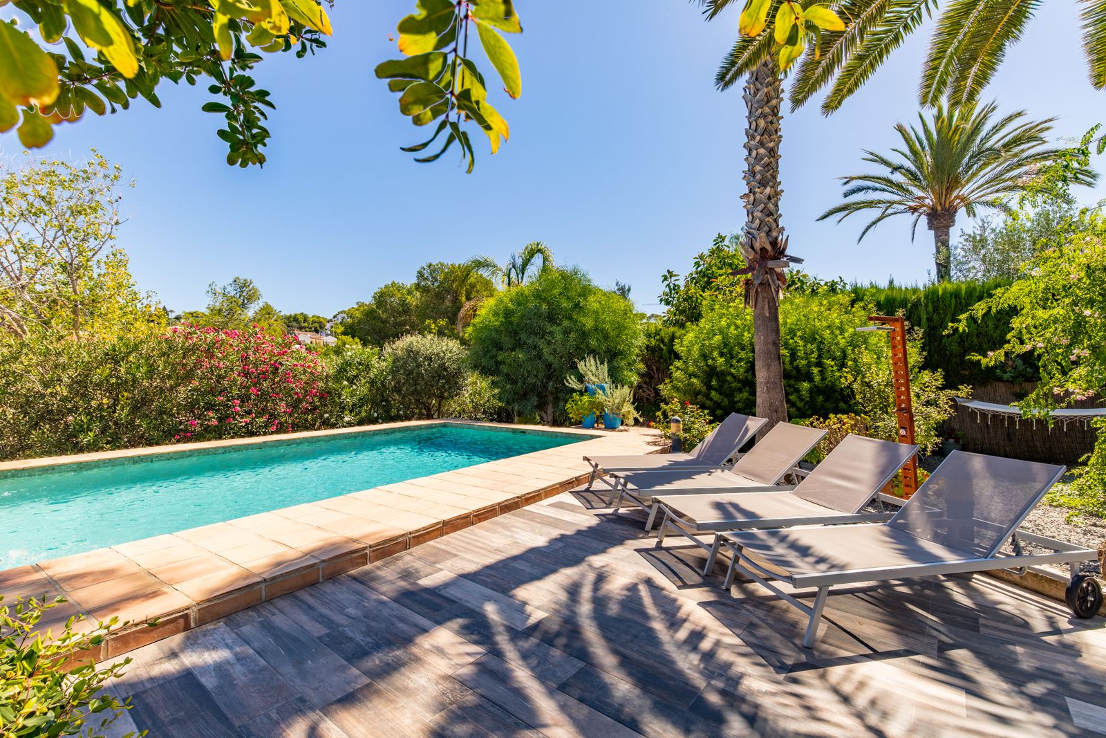 Privater Pool mit Terrakotta-Einfassung und Fliesenterrasse, ausgestattet mit vier Liegen in einem üppigen mediterranen Garten mit Palmen.