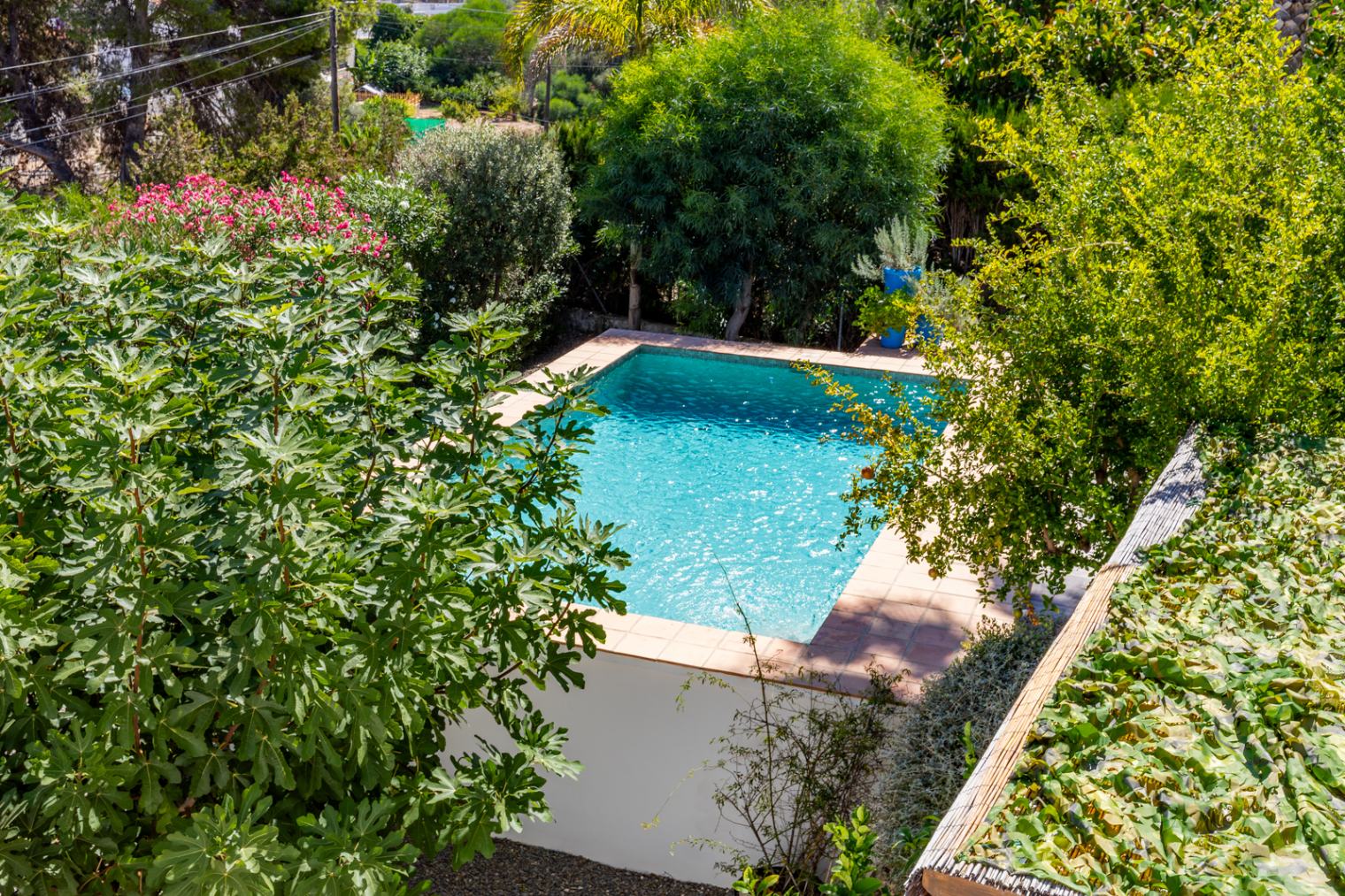Privater Pool, umgeben von üppiger mediterraner Vegetation wie Feigenbäumen und Oleander, die für absolute Privatsphäre im Außenbereich sorgen.