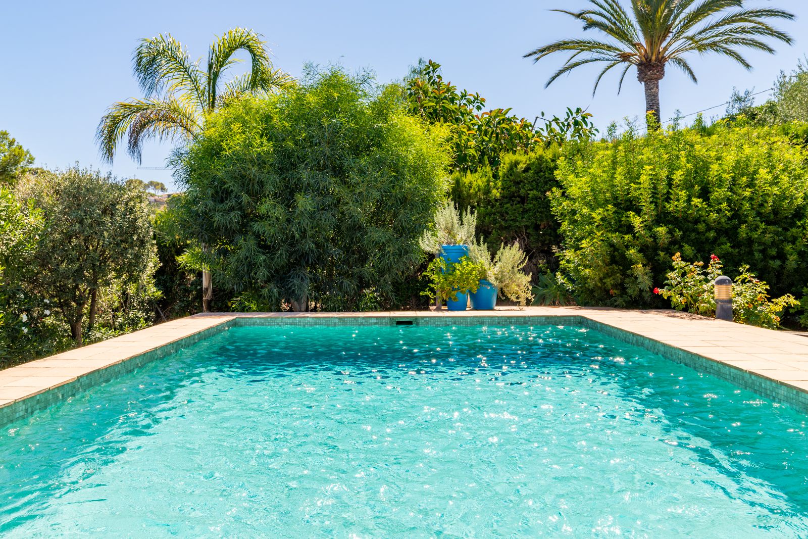 Rechteckiger Pool mit türkisfarbenem Mosaik, umgeben von üppiger mediterraner Vegetation und Palmen, die für Privatsphäre im Außenbereich sorgen.