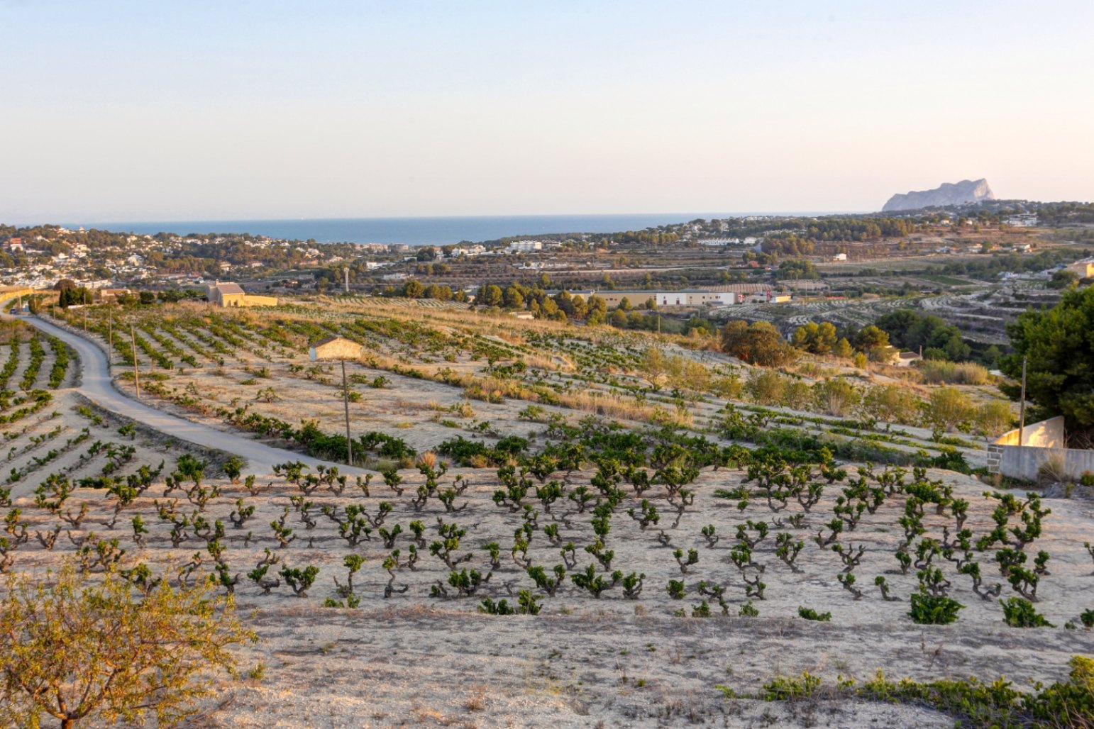 Panoramablick vom Anwesen über terrassierte Weinberge bis hin zum Mittelmeer und dem markanten Peñón de Ifach am Horizont bei sanftem Licht.