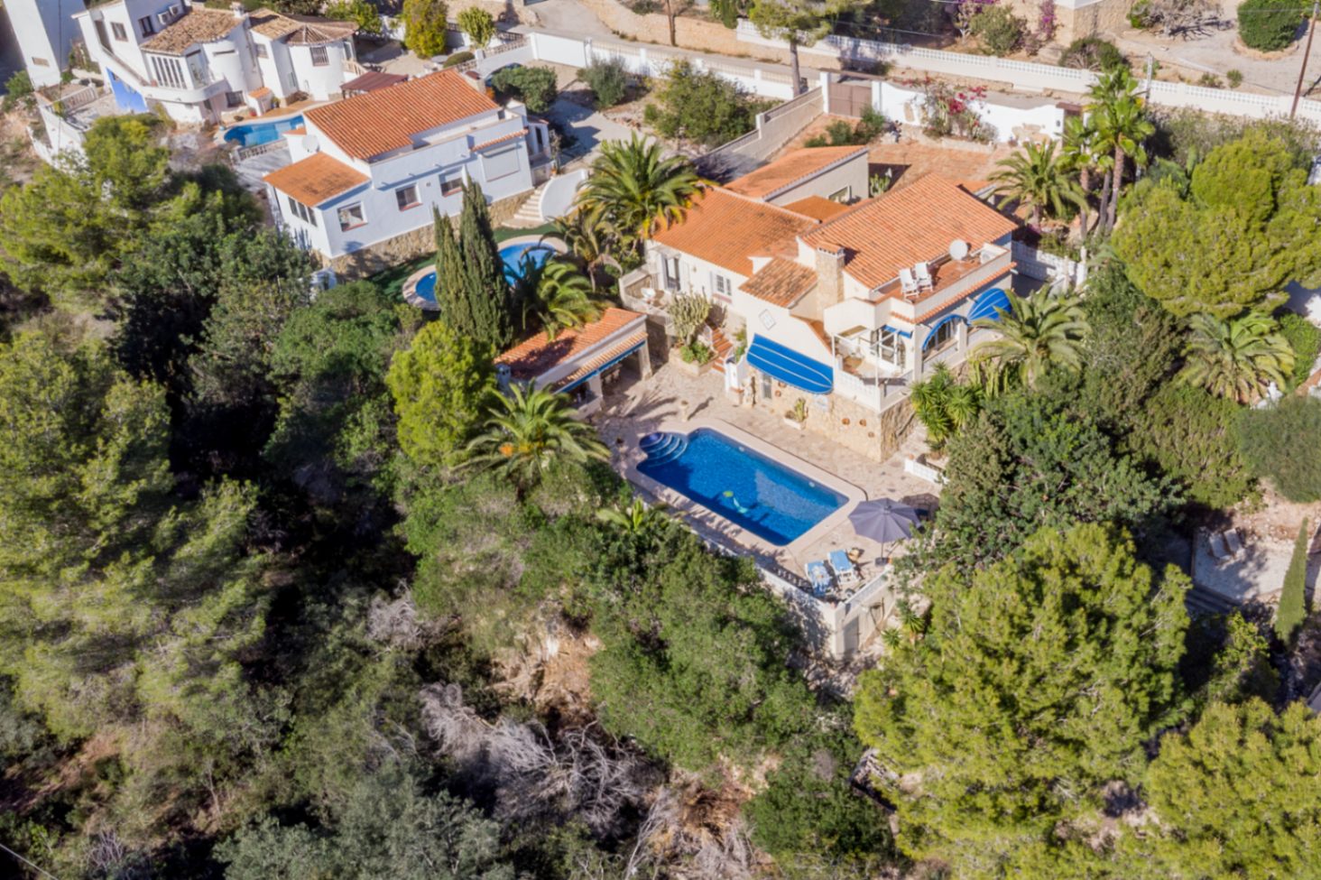 Luftaufnahme der Villa mit Terrakottadächern, zentralem Pool inmitten reifer Palmen und Außenküche, angrenzend an ein weitläufiges Naturschutzgebiet.