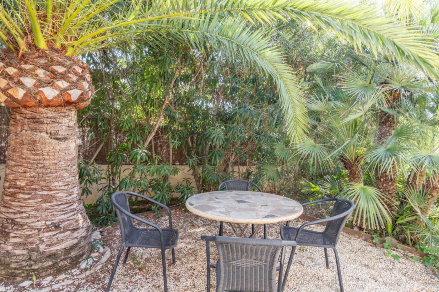 Schattiger Gartensitzplatz mit Steintisch und Stühlen, umgeben von ausgewachsenen Palmen und üppiger mediterraner Bepflanzung für Privatsphäre.