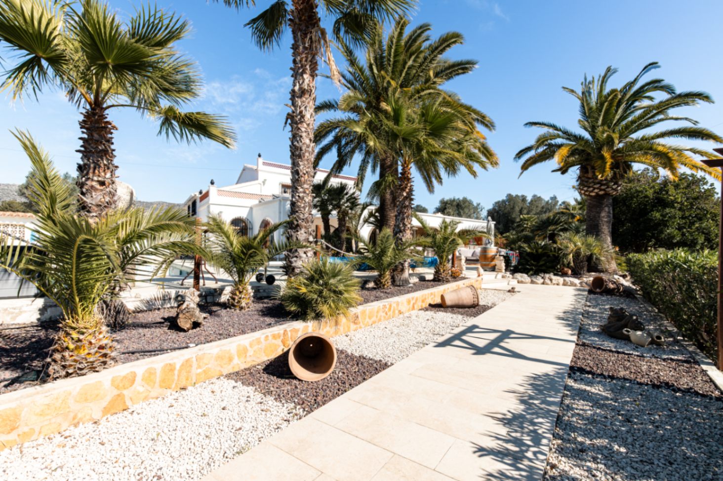 Ein hell gefliester Weg führt durch einen angelegten Garten mit Kies, hohen Palmen und dekorativen Terrakotta-Töpfen zur weißen mediterranen Finca.