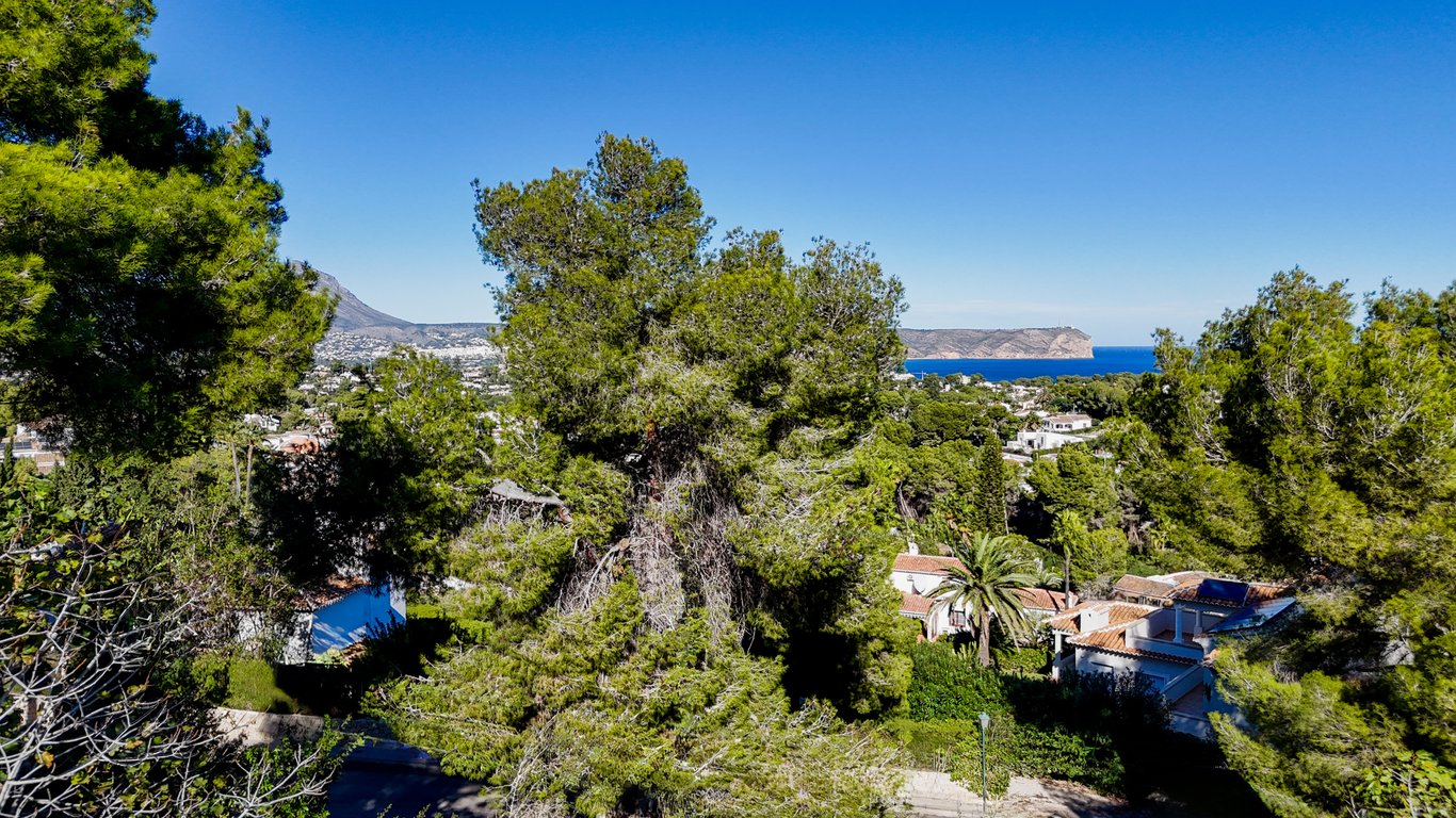 Panoramablick auf das Mittelmeer und die Küste, eingebettet in Pinienbäume mit dem Berg Montgó im Hintergrund unter blauem Himmel.