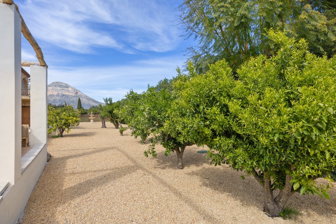 Pflegeleichter mediterraner Garten mit Obstbäumen und Kiesflächen, der einen freien Blick auf den Berg Montgó und einen dekorativen Brunnen bietet.