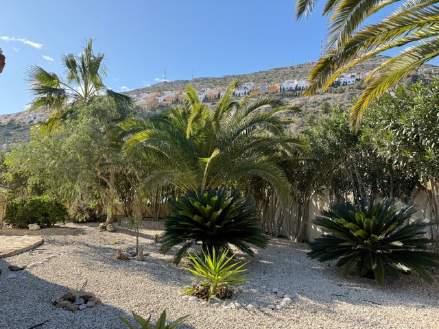 Pflegeleichter mediterraner Garten mit Kies, ausgewachsenen Palmen und Sagopalmen, mit Blick auf den bebauten Hang von Benitachell.