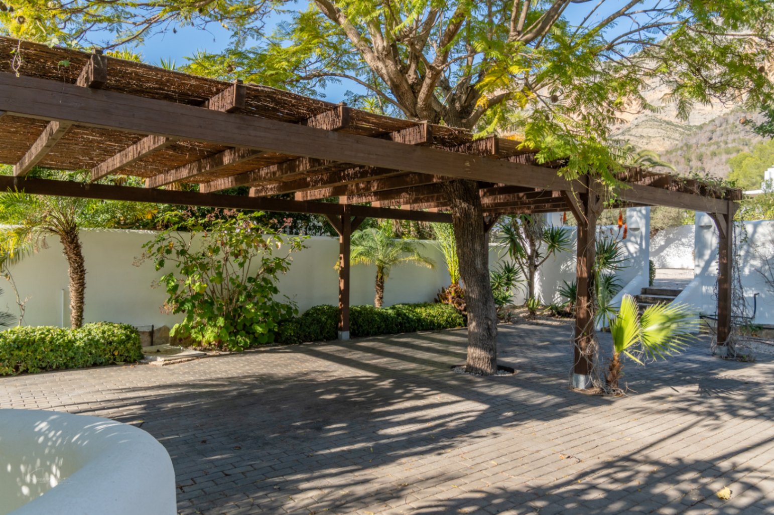 Holzpergola mit Naturrohrdach, die einen alten Baum umschließt, auf gepflastertem Boden mit Blick auf den Berg Montgó und mediterrane Bepflanzung.