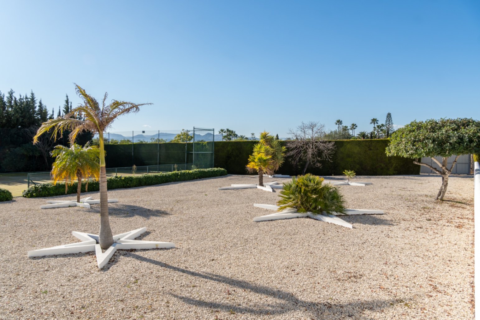 Mediterraner Kiesgarten mit Palmen in weißen, sternförmigen Beeten, angrenzend an den privaten Tennisplatz und umgeben von hohen Hecken.