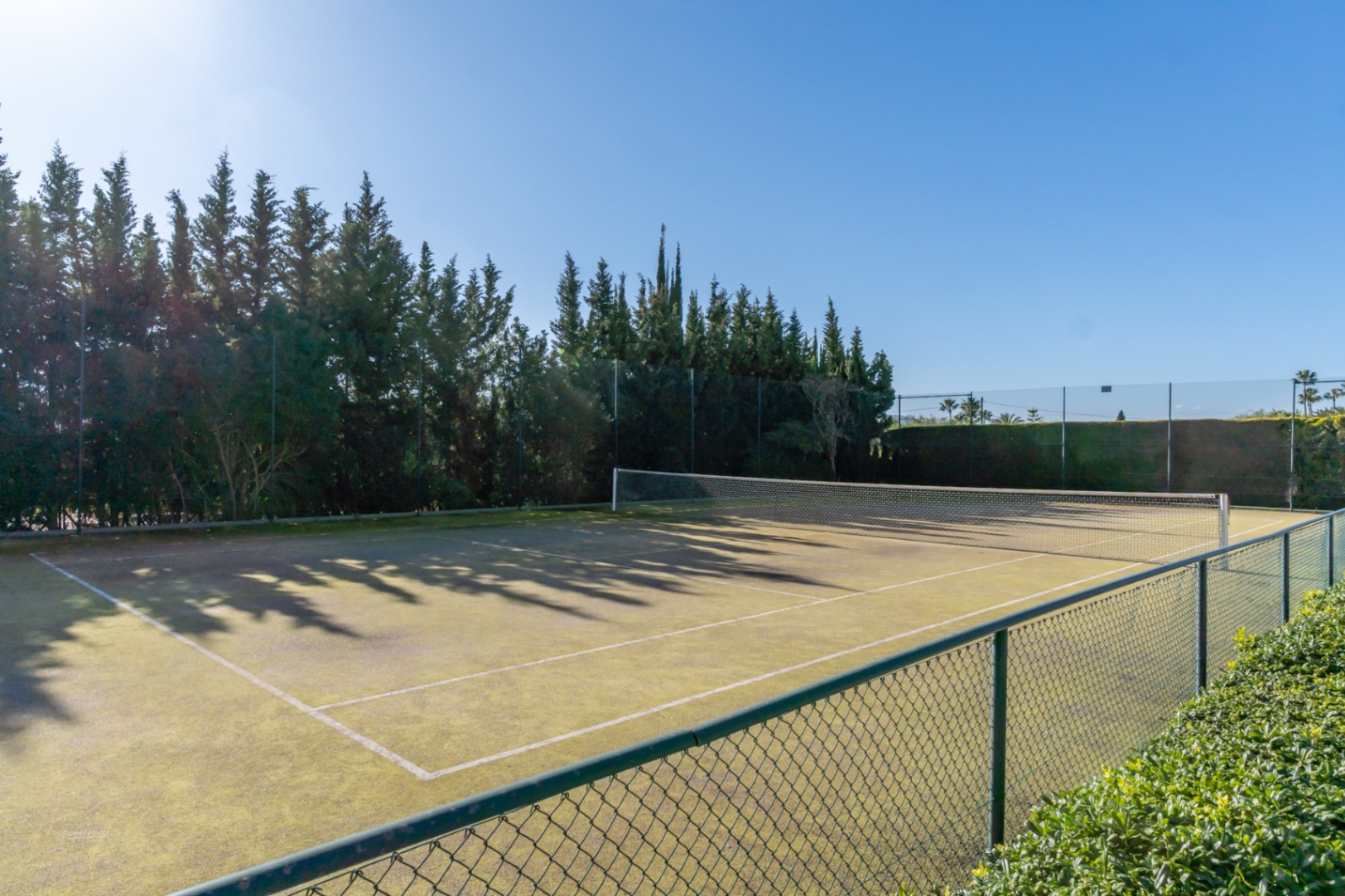 Privater Tennisplatz, umgeben von hohen Zypressen für optimale Privatsphäre, mit Maschendrahtzaun und gepflegter Spielfläche unter blauem Himmel.