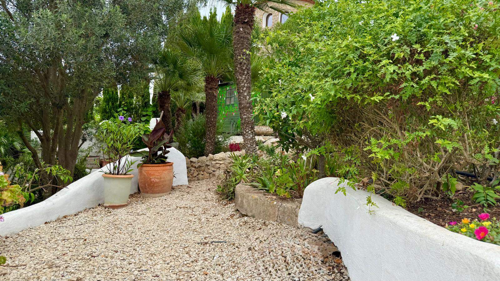 Kiesweg im mediterranen Garten mit weiß getünchten Mauern im ibizenkischen Stil, Terrakotta-Töpfen und üppiger Bepflanzung mit Palmen und Olivenbäumen.