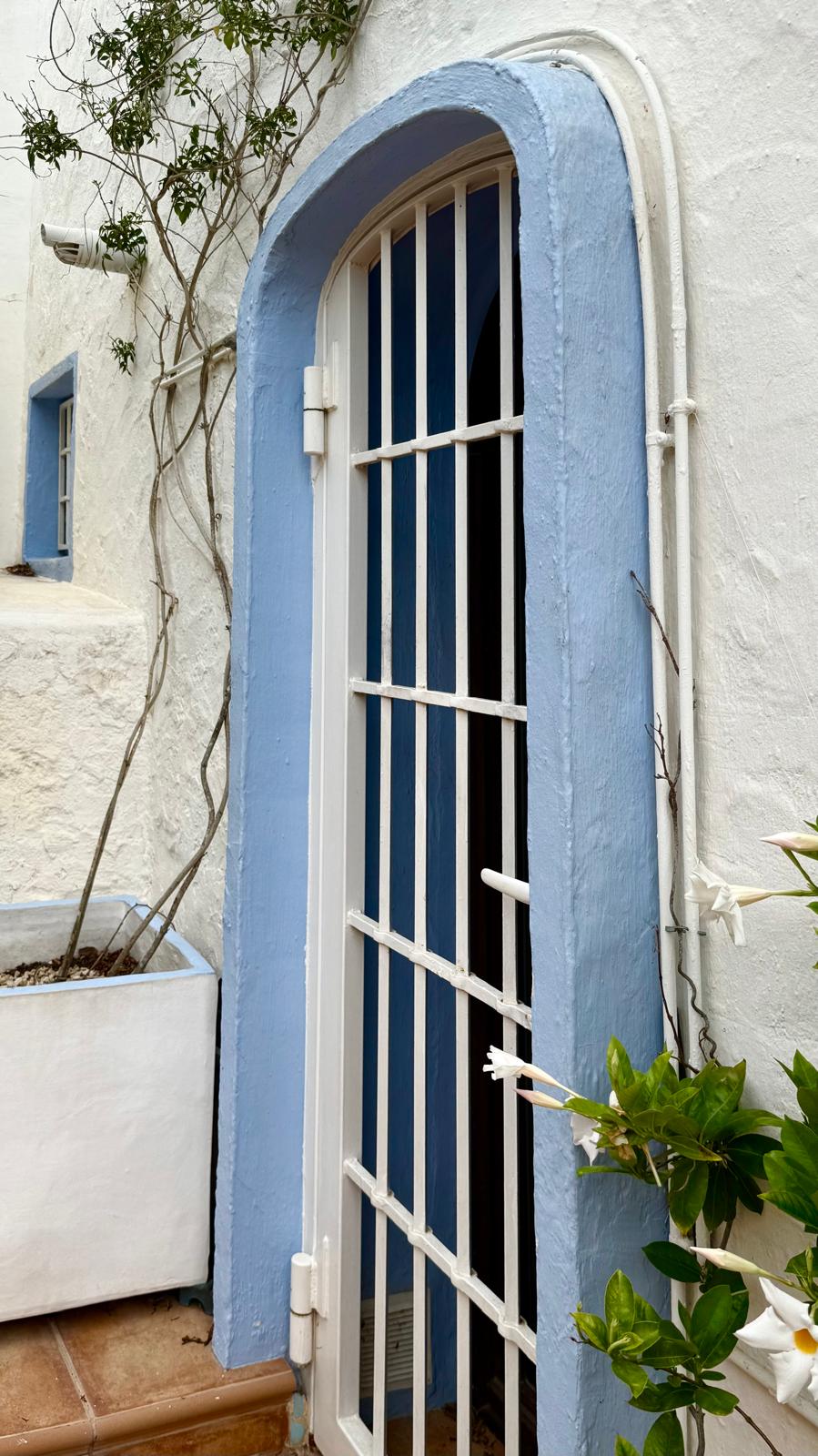 Rundbogentür mit weißem Sicherheitsgitter und hellblauem Rahmen an einer strukturierten weißen Fassade im ibizenkischen Stil mit Kletterpflanzen.
