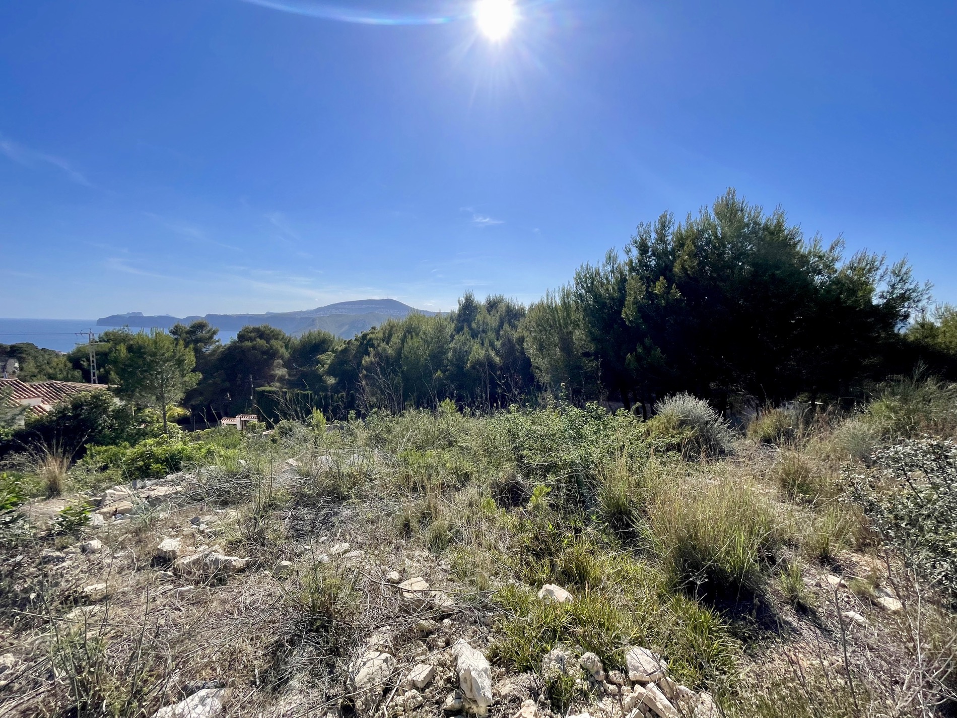 Panoramablick vom erhöhten Grundstück auf das Mittelmeer, umgeben von einheimischer Vegetation und Pinien unter einem klaren, sonnigen Himmel.