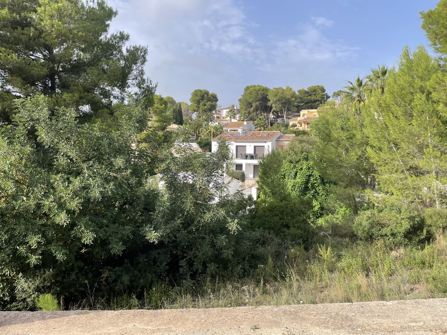 Erhöhter Blick auf das Grundstück, der die dichte mediterrane Vegetation und die in die Naturlandschaft von Costera del Mar integrierten weißen Villen zeigt.