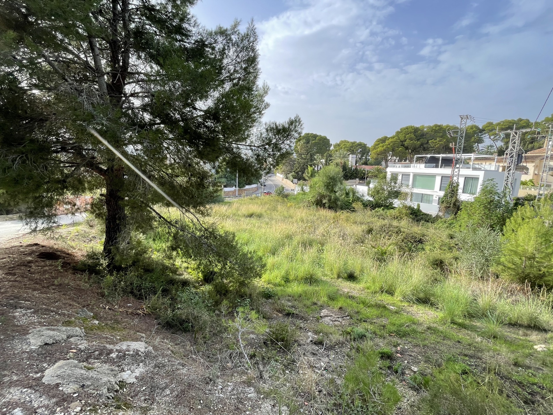 Erhöhtes Grundstück mit altem Pinienbestand und mediterraner Vegetation, mit Blick auf moderne Villen und die umliegende Infrastruktur in Moraira.