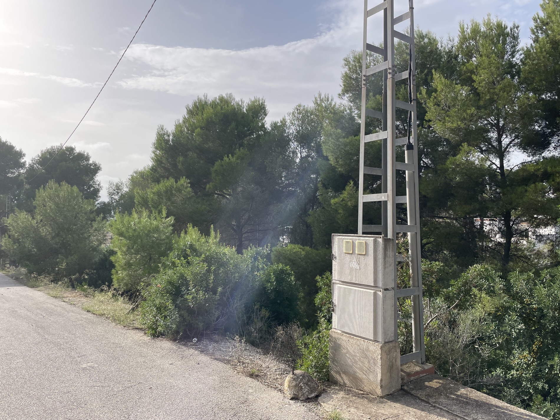 Zufahrtsstraße zum Grundstück mit vorhandener Elektroinfrastruktur und natürlicher Umgebung aus mediterranen Pinien.