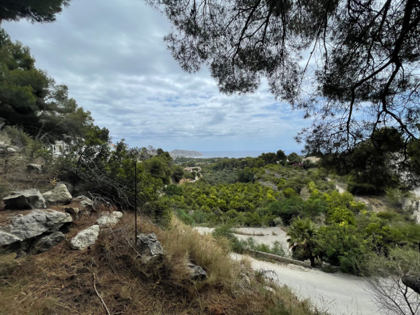 Erhöhter Panoramablick auf das Mittelmeer und die Küste, eingerahmt von einheimischen Pinien und üppiger mediterraner Vegetation in ruhiger Lage.