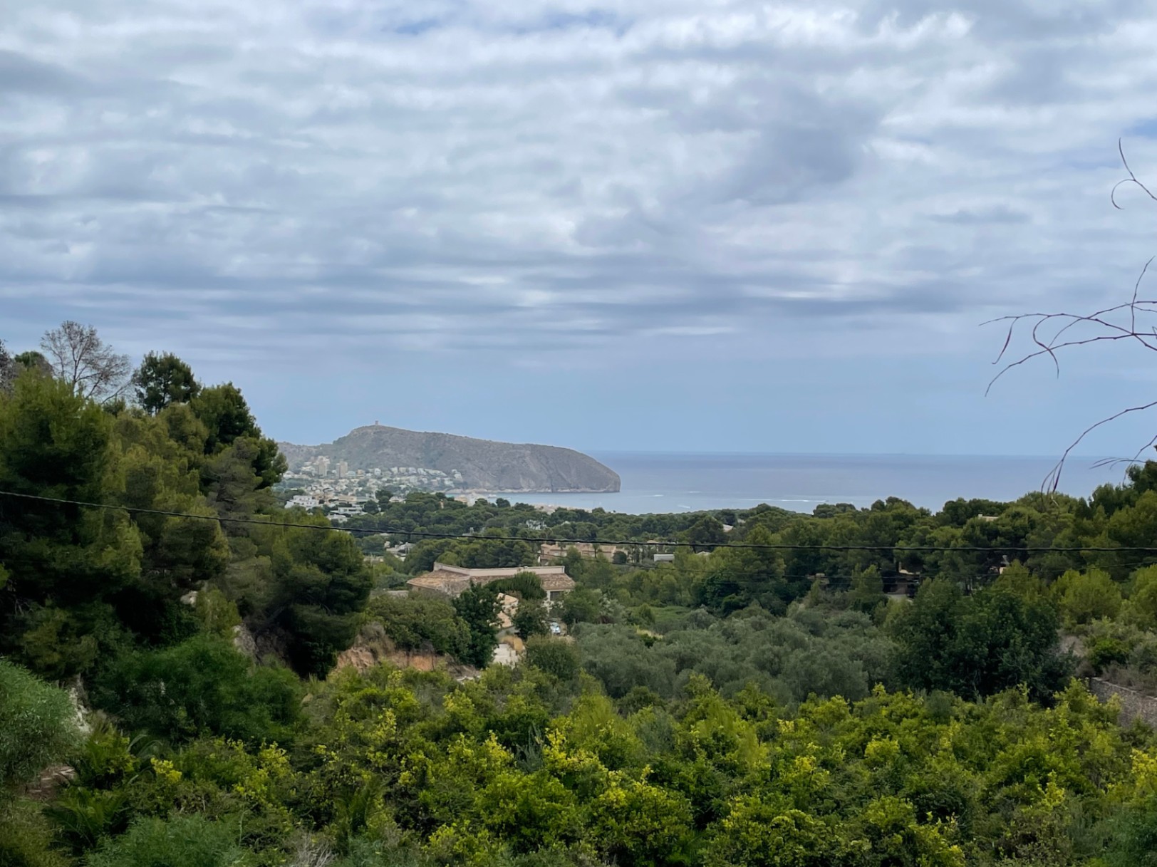 Panoramablick auf das Mittelmeer und das Cap d'Or vom erhöhten Grundstück in Benimeit, umgeben von einheimischer Vegetation und Pinien.