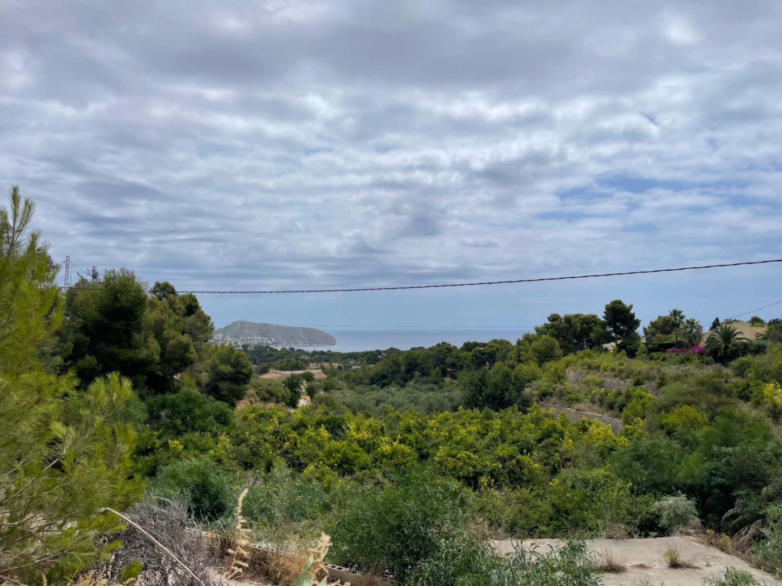 Panoramablick auf das Mittelmeer und die Küste vom erhöhten Grundstück aus, eingebettet in eine grüne Landschaft mit Pinien und mediterraner Vegetation.