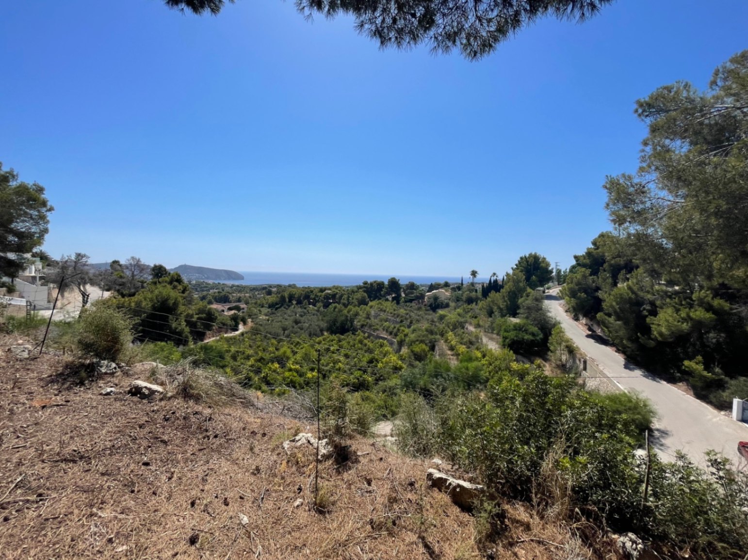 Panoramablick auf das Mittelmeer vom erhöhten Grundstück in Benimeit, eingebettet in eine natürliche Landschaft mit Pinien und Küstenvegetation.