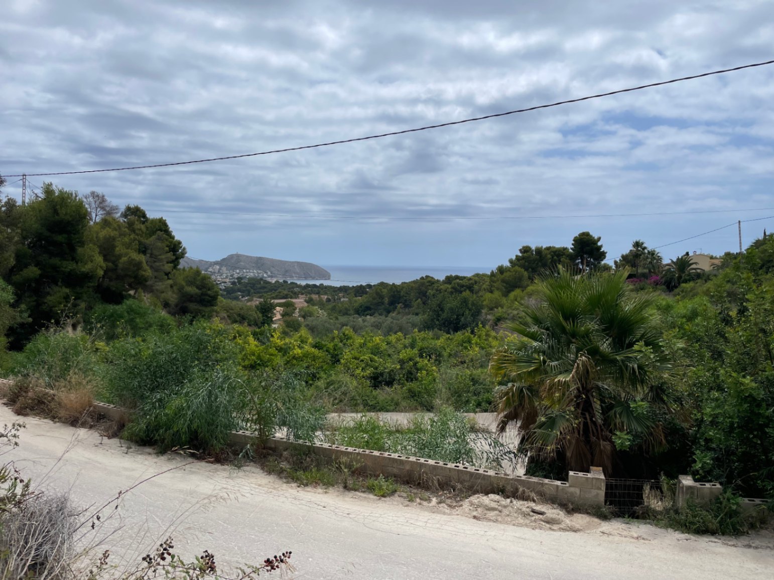 Weitläufiger Blick auf das Mittelmeer und das Cap d'Or vom Baugrundstück aus, eingebettet in eine natürliche Umgebung mit Pinien und Palmen.