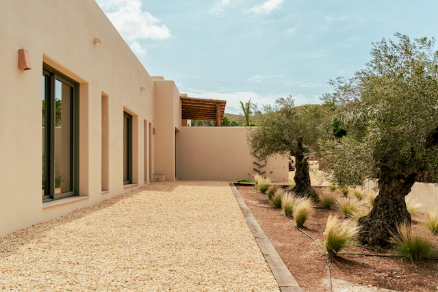 Minimalistische sandfarbene Fassade mit doppelt verglasten Schiebetüren und einem mediterranen Garten mit alten Olivenbäumen und dekorativem Kies.
