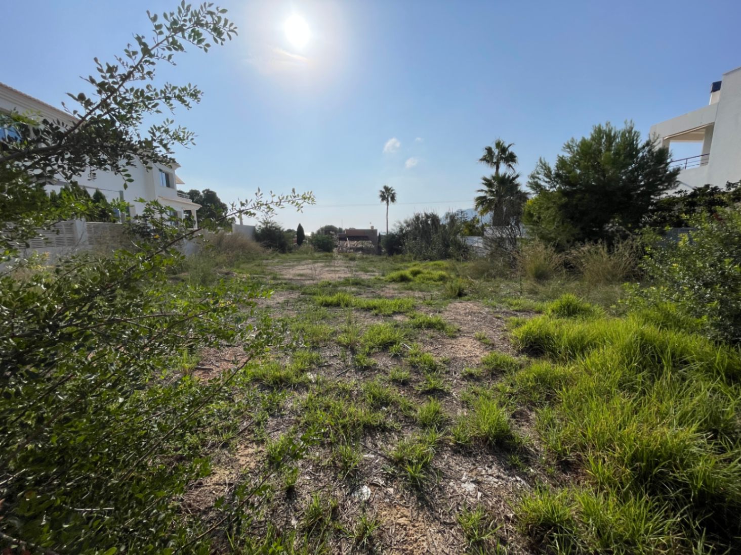 Ebenes, 856 m² großes Baugrundstück in Bassetes, Calpe, mit natürlichem Bewuchs und angrenzenden modernen Villen in sonniger Lage.