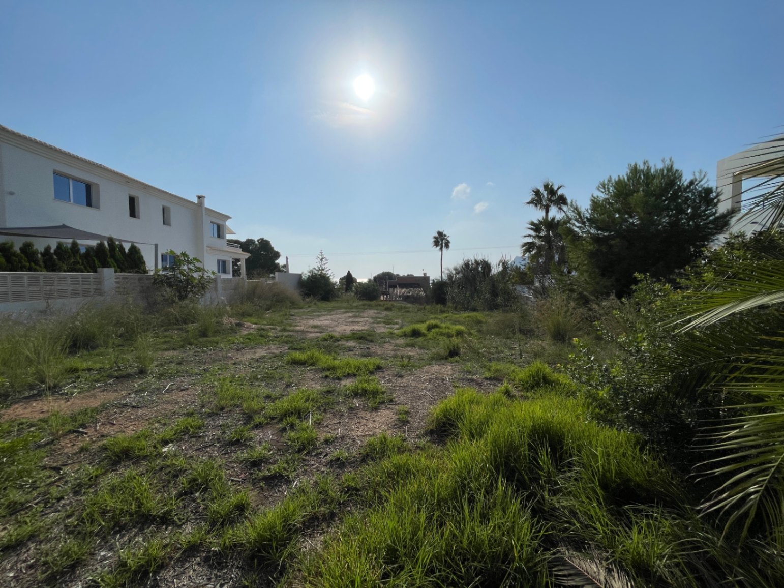 Ebenes, 856 m² großes Baugrundstück in Bassetes Calpe mit Südausrichtung, umgeben von mediterraner Bepflanzung und bestehenden Villen in sonniger Lage.