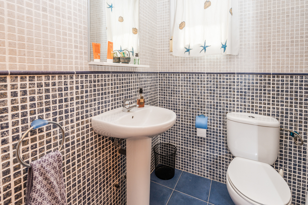 Badezimmer mit zweifarbigen Mosaikfliesen in Blau und Beige, weißem Säulenwaschbecken und Tageslicht durch ein Fenster mit Meeresmotiven.