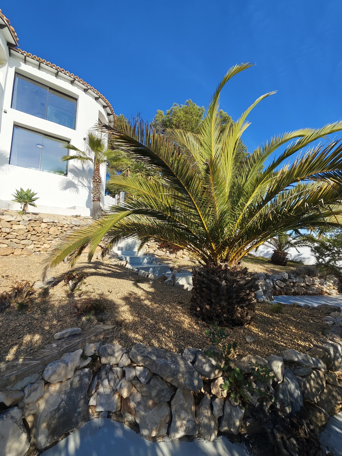 Mediterran gestalteter Garten mit Natursteinmauern, Kieswegen und ausgewachsenen Palmen vor einer weißen Villenfassade mit großen Glasfronten.
