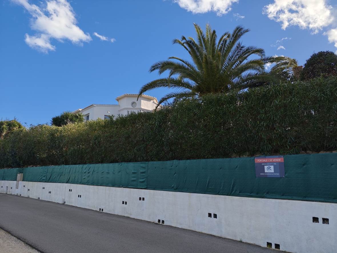 Außenansicht der Grundstücksbegrenzung mit weißer Stützmauer, grünem Sichtschutz und einer ausgewachsenen Palme vor blauem Himmel.