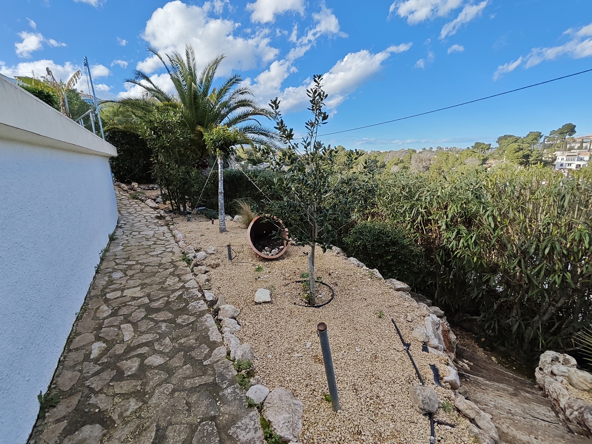 Natursteingepflasterter Weg entlang eines mediterranen Gartens mit Kiesbeeten, jungen Olivenbäumen und Palmen unter blauem Himmel.