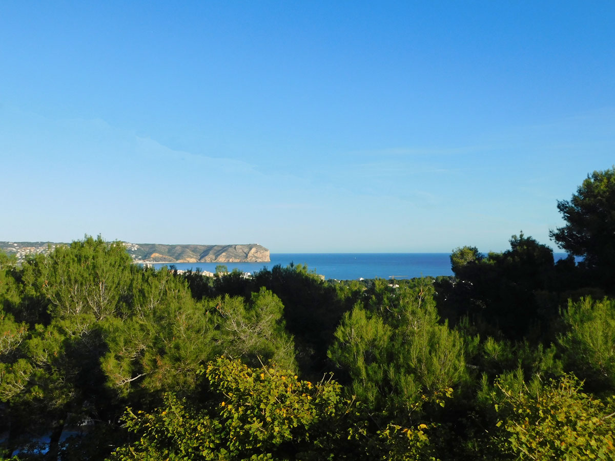 Panoramablick auf das Mittelmeer und das Cabo San Antonio, eingebettet in eine üppige mediterrane Pinienlandschaft unter klarem Himmel.