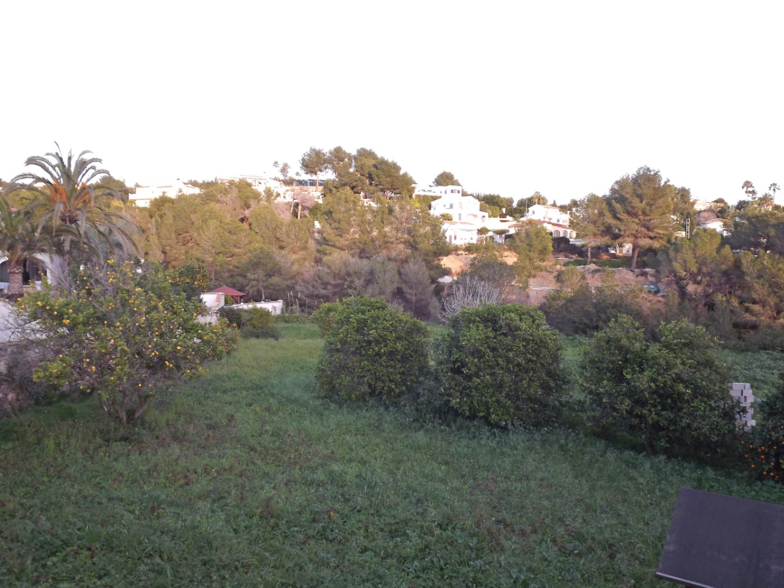 Blick auf das weitläufige Grundstück mit Zitrusbäumen und mediterraner Vegetation, mit Aussicht auf die bebaute Hügellandschaft von Benissa.