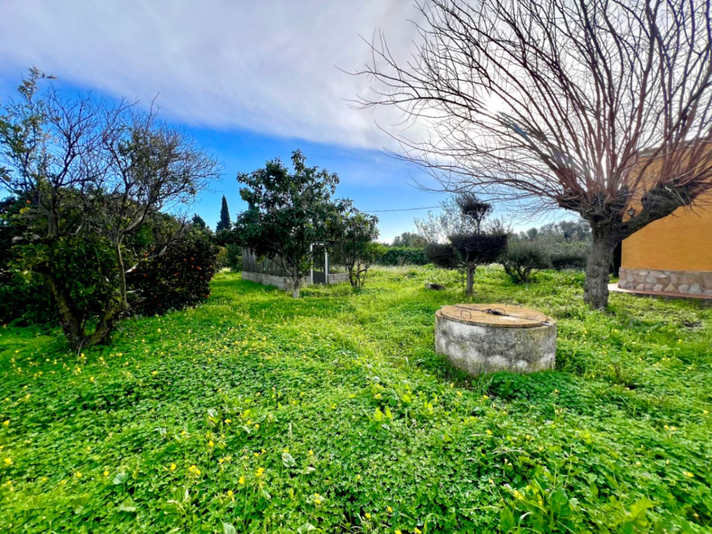 Großzügiges Naturgrundstück mit traditionellem Brunnen, verschiedenen Obstbäumen und üppiger Wildvegetation bei Tageslicht.
