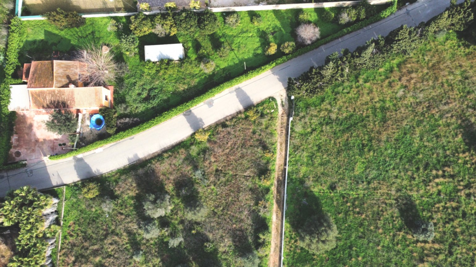 Luftaufnahme des Anwesens mit dem Haus mit Ziegeldach, dem 1.414 m² großen Grundstück mit mediterraner Bepflanzung und der asphaltierten Zufahrt.