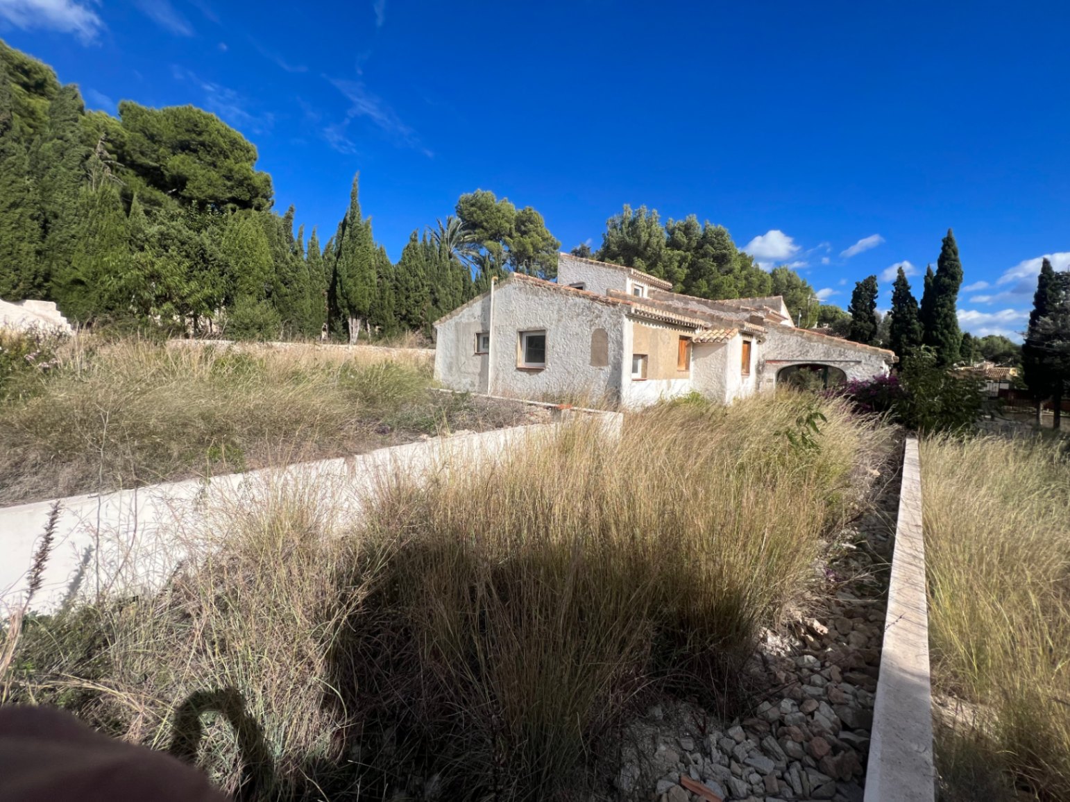 Außenansicht der traditionellen Villa mit strukturierter Fassade und Ziegeldach auf einem weitläufigen Grundstück mit Pinien- und Zypressenbestand.