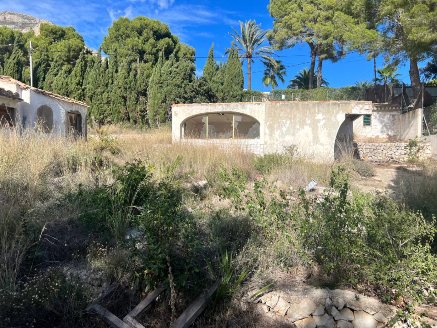 Außenansicht eines Nebengebäudes mit Rundbögen, umgeben von verwildertem Garten und hohen Zypressen in sonniger Lage von Jávea.