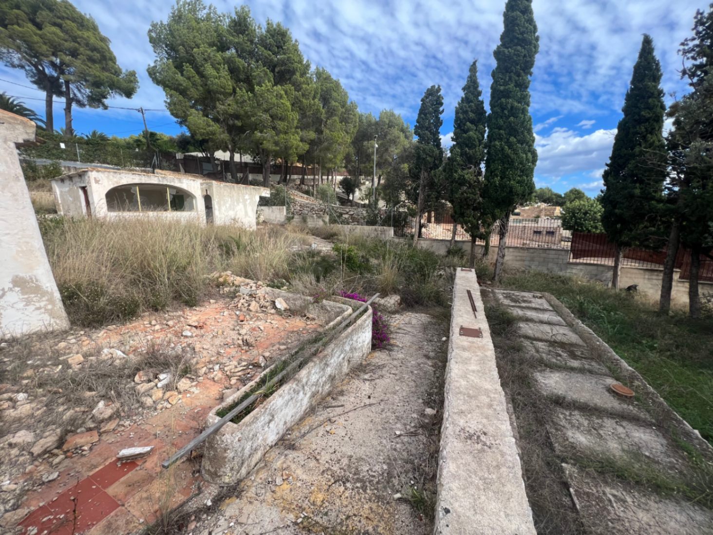 Blick auf das weitläufige Grundstück mit mediterranem Baumbestand und renovierungsbedürftigen Außenanlagen in der begehrten Wohnlage Montgó, Jávea.