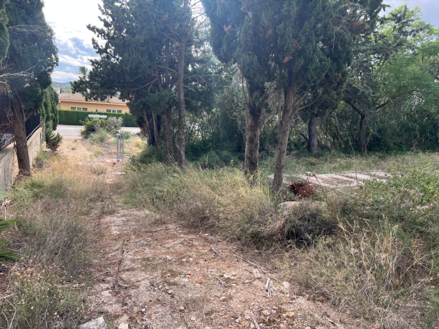 Großzügiges 2.895 m2 großes Grundstück mit altem Zypressenbestand und natürlicher Vegetation. Das Areal bietet viel Raum für individuelle Gestaltung und Ausbau.