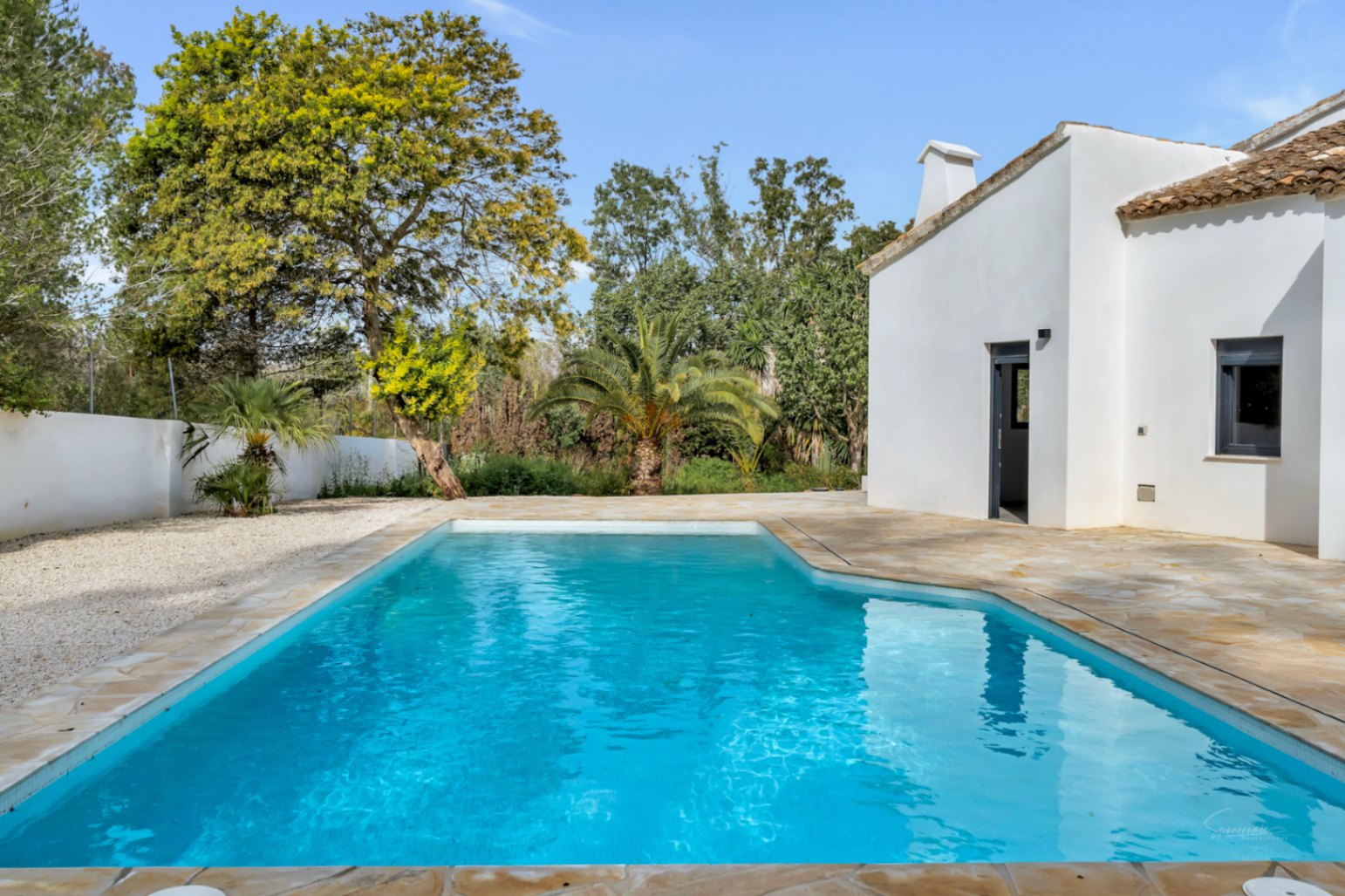 Außenpool mit Natursteinterrasse und weiß getünchten Wänden, eingebettet in einen mediterranen Garten mit Palmen und altem Baumbestand.
