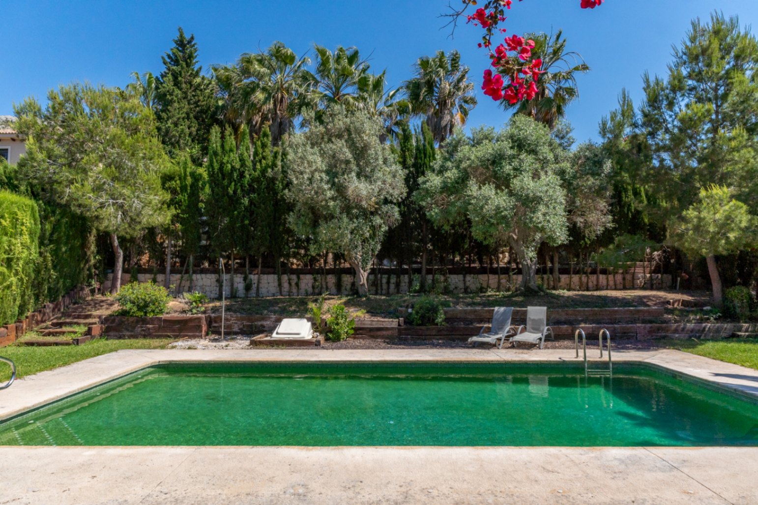 Außenpool eingebettet in einen mediterranen Garten mit Palmen und Olivenbäumen. Die Anlage umfasst Natursteinmauern und eine großzügige Liegefläche.