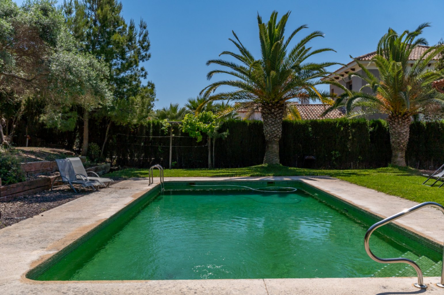 Außenpool in einem mediterranen Garten mit Naturrasen, ausgewachsenen Palmen und Hecken, die für absolute Privatsphäre sorgen.