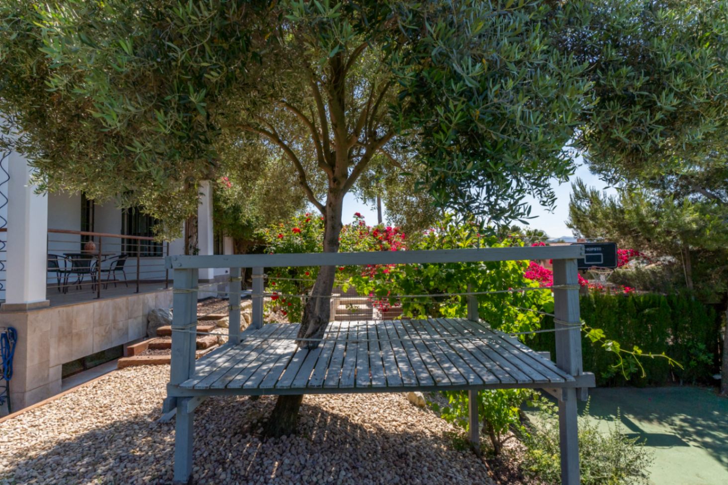 Erhöhte graue Holzplattform um einen Olivenbaum in einem mediterranen Garten mit Kies und blühenden Sträuchern.