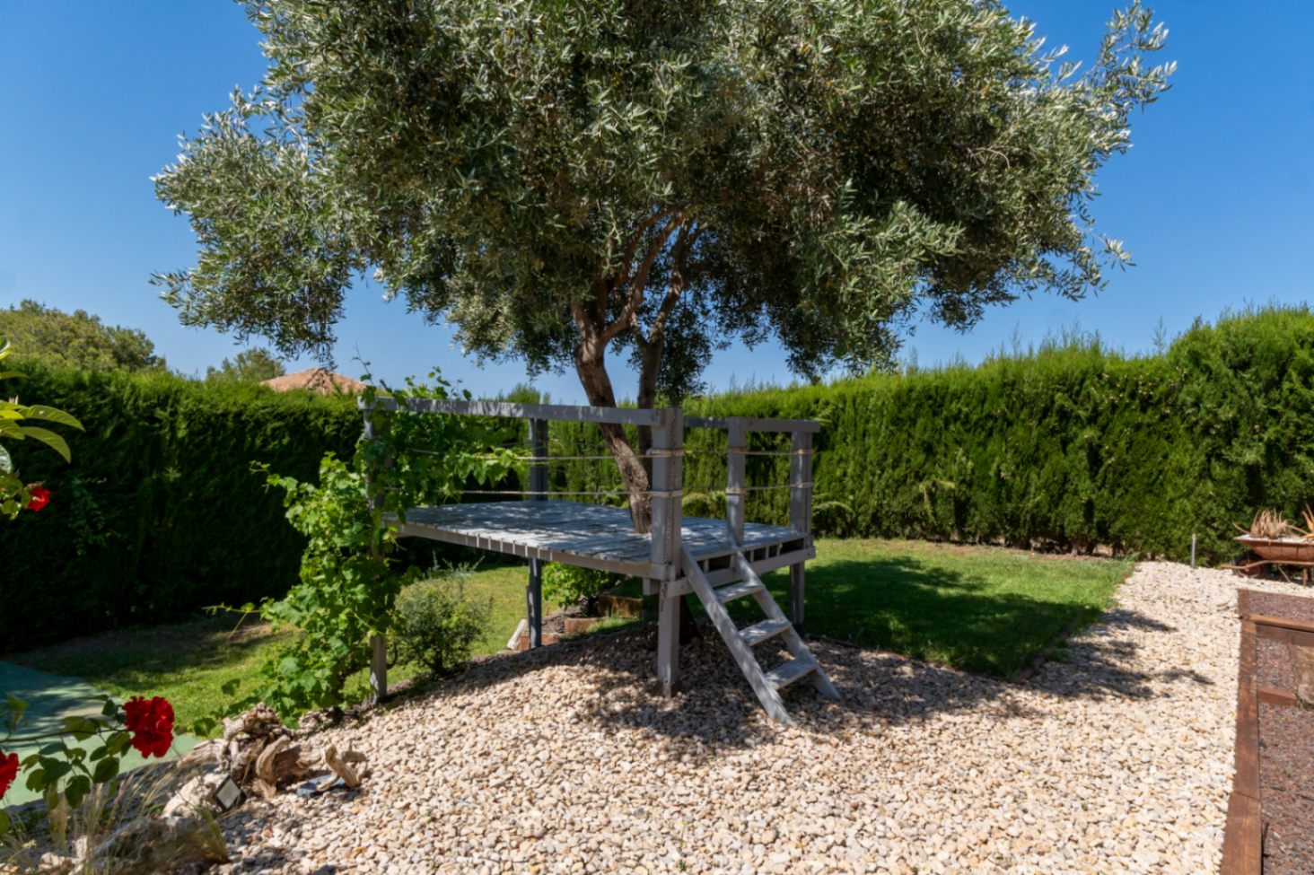 Erhöhte Holzplattform um einen Olivenbaum mit kleiner Leiter und Seilgeländer, eingebettet in einen gepflegten Garten mit Rasen und Kiesflächen.