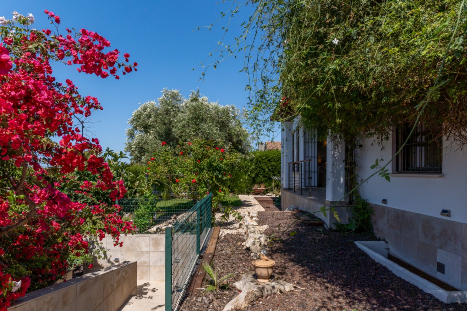 Mediterraner Garten mit blühenden Bougainvilleen, Kieswegen und einer Steinfassade. Üppige Bepflanzung umgibt die Villa und schafft eine private, naturnahe Außenanlage.