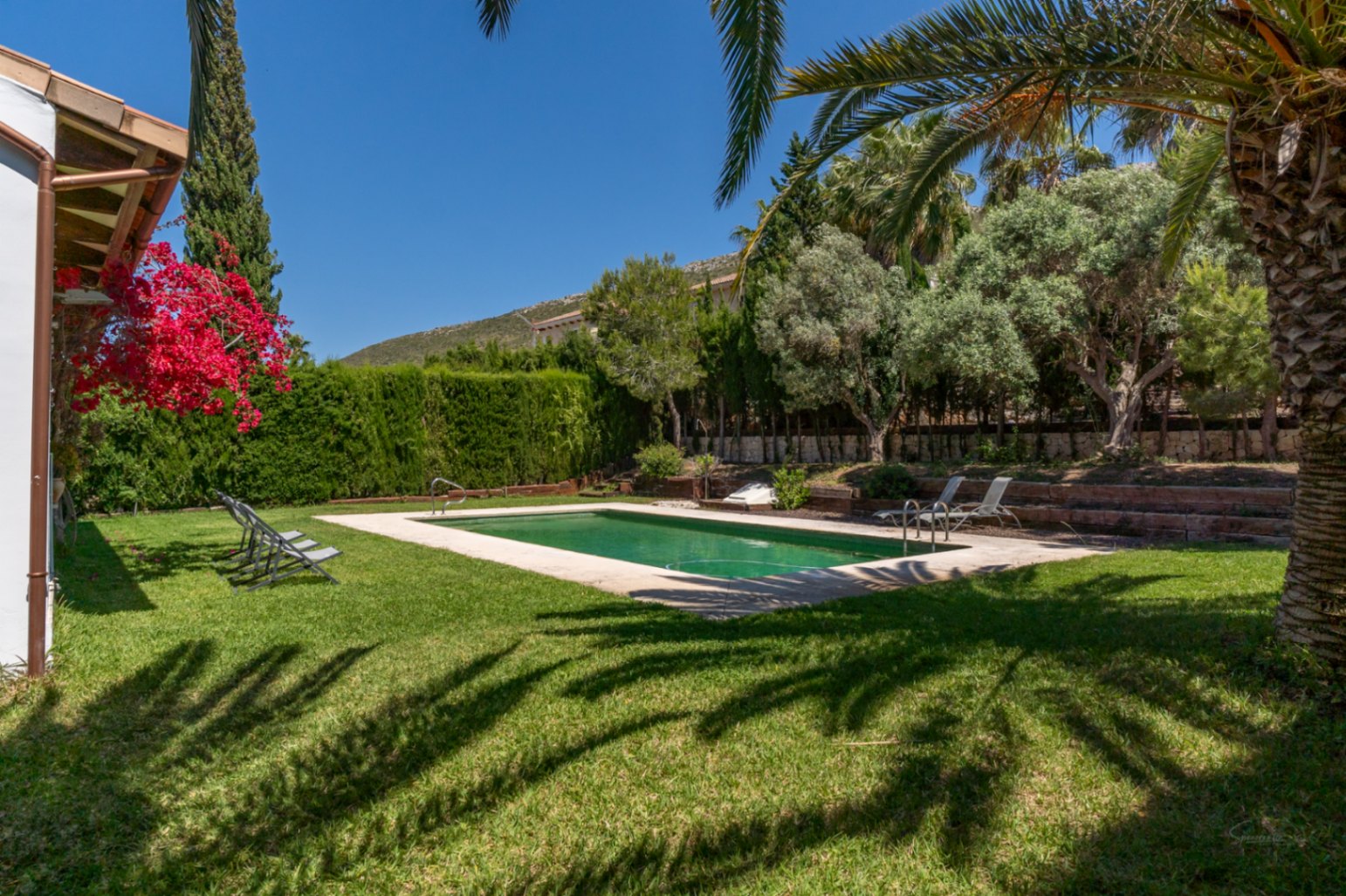Rechteckiger Außenpool in einem gepflegten Garten mit Rasen, Palmen und Bougainvillea, vor einer Kulisse aus mediterranen Bäumen und Bergen.